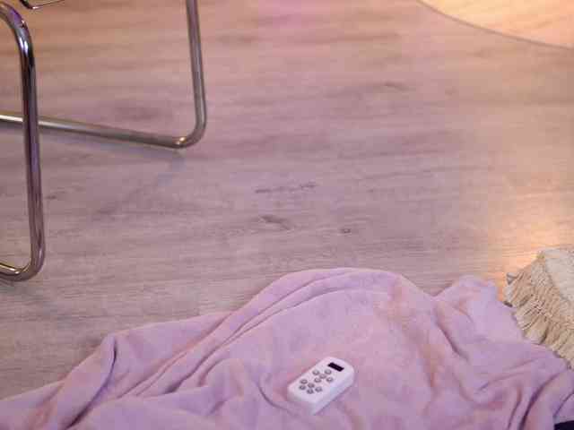 LenaLaurent webcam