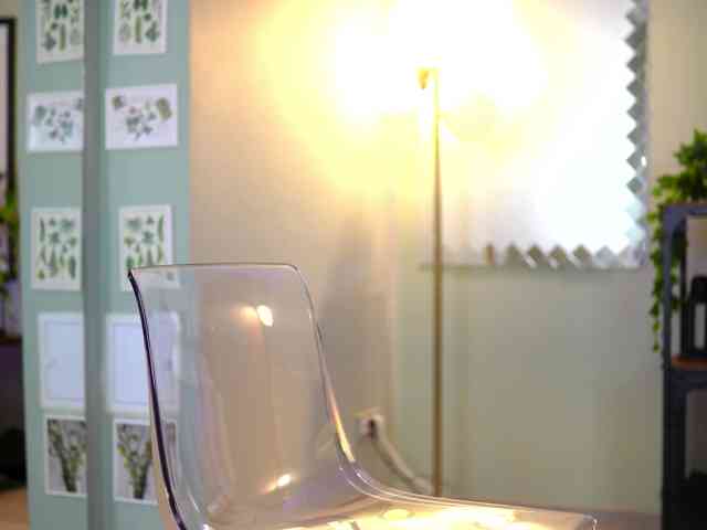 LenaLaurent webcam