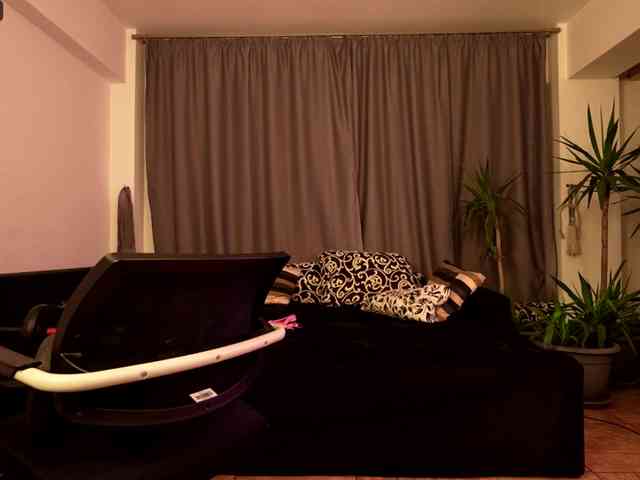 VioletVIP