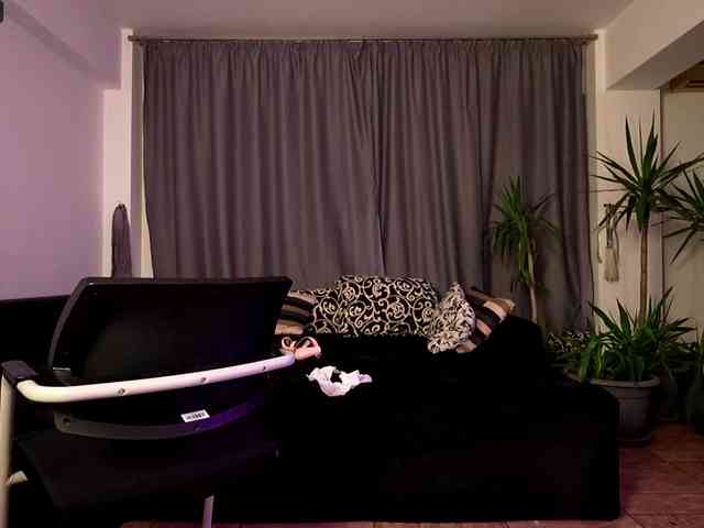 VioletVIP