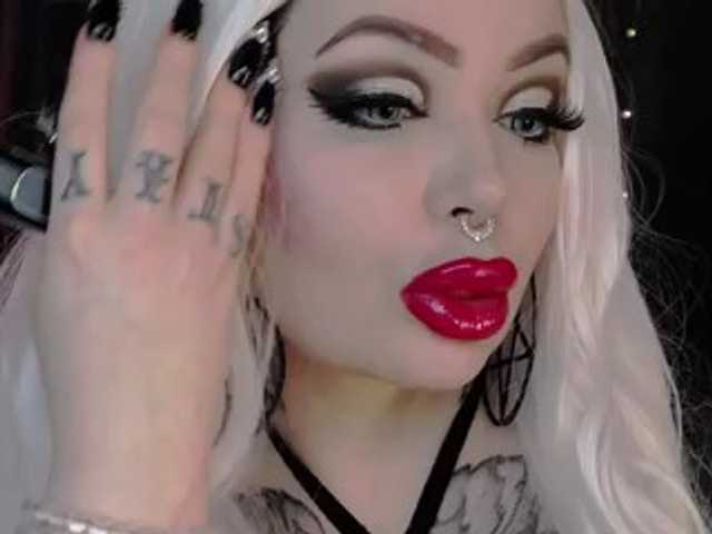 DollyDome