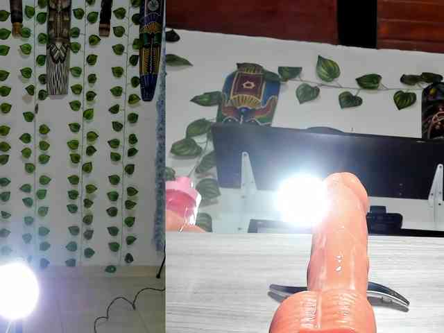 bellafunny1 webcam