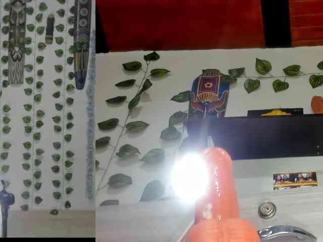 bellafunny1 webcam