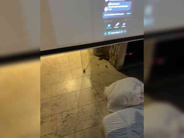 AdellCros webcam