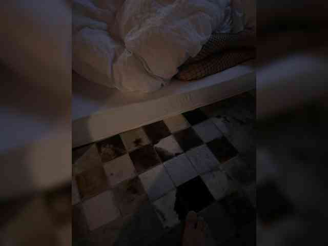 AdellCros webcam