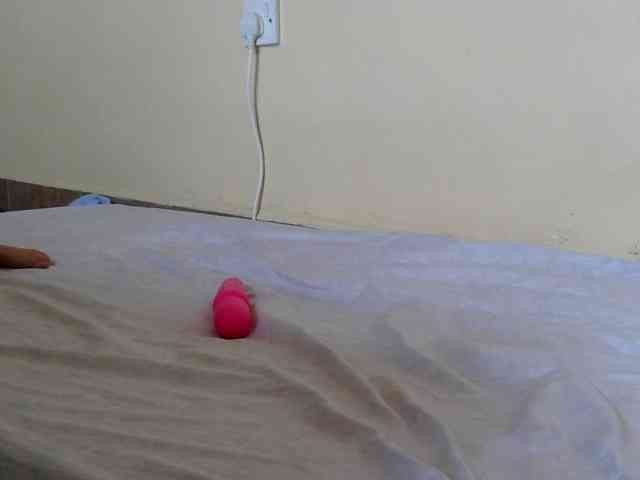 Finewine webcam