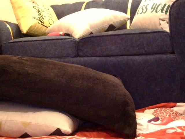 Finewine webcam
