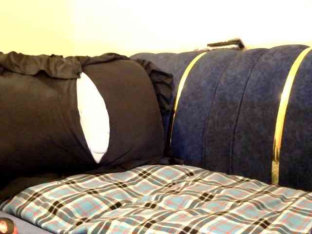 Finewine webcam