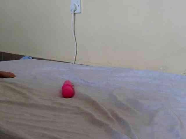 Finewine webcam