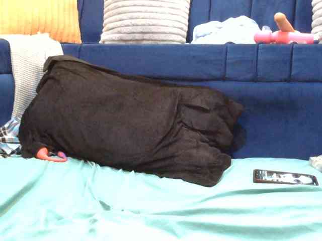 Finewine webcam