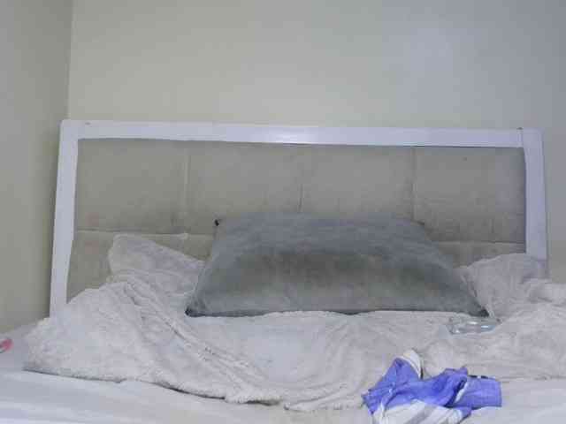Deshlii webcam