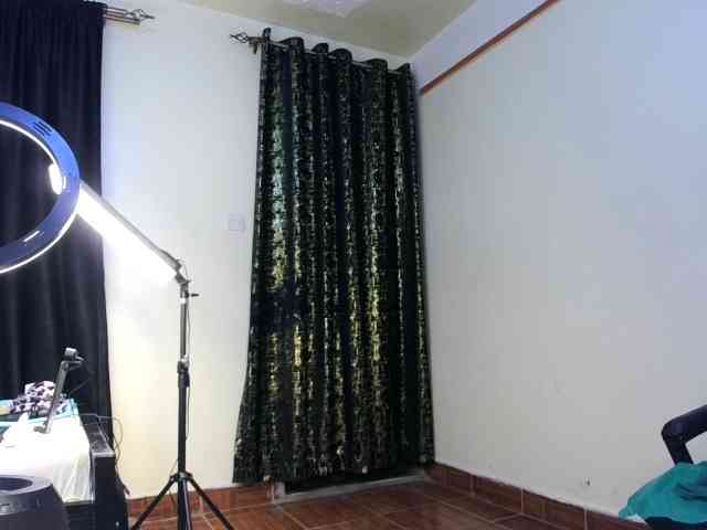 Deshlii webcam