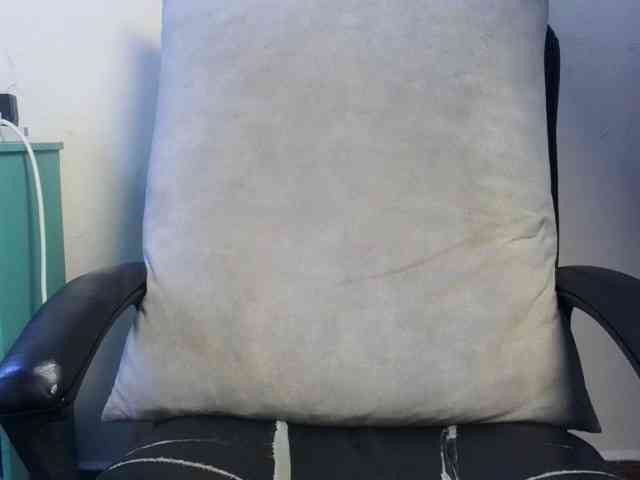 Deshlii webcam