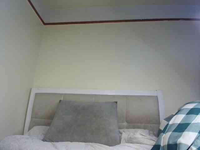 Deshlii webcam