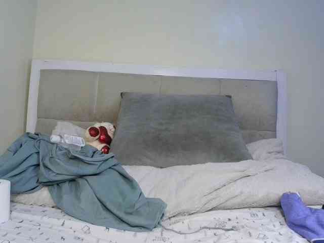 Deshlii webcam