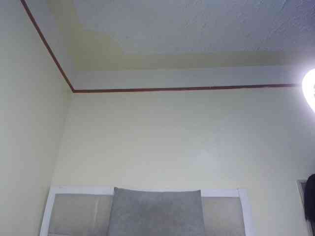 Deshlii webcam