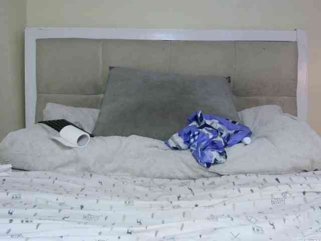 Deshlii webcam