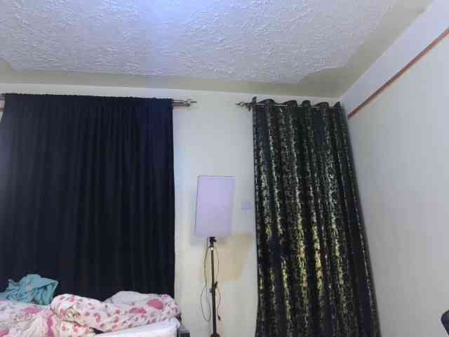 Deshlii webcam