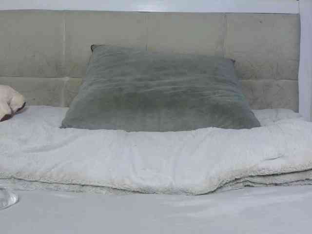 Deshlii webcam
