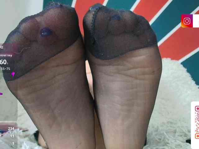 Modelo: shengyiblue