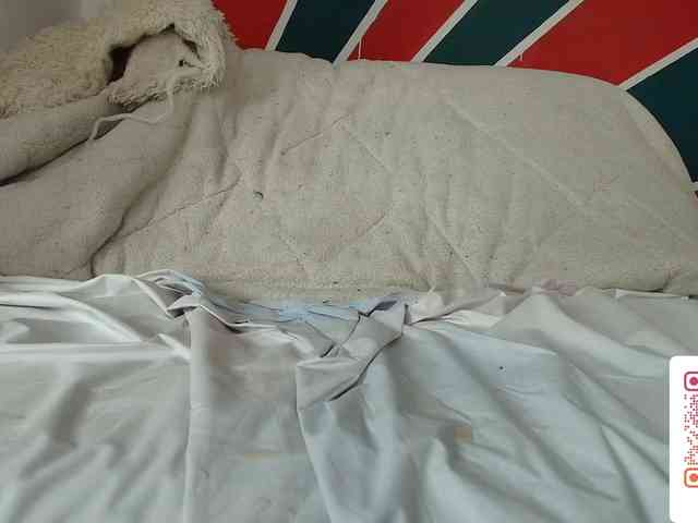 shengyiblue webcam