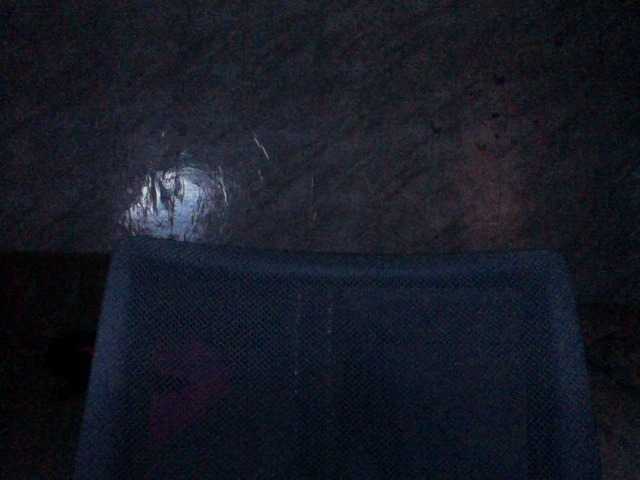 Nastyxclit live cam on BongaCams
