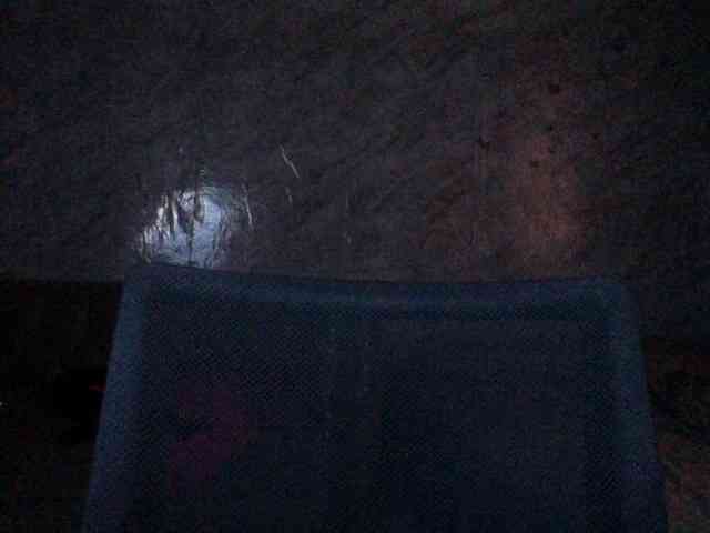Nastyxclit webcam
