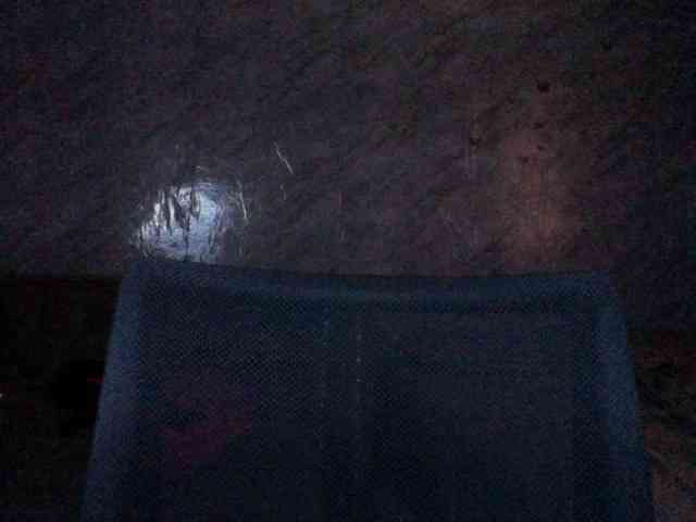 Nastyxclit webcam