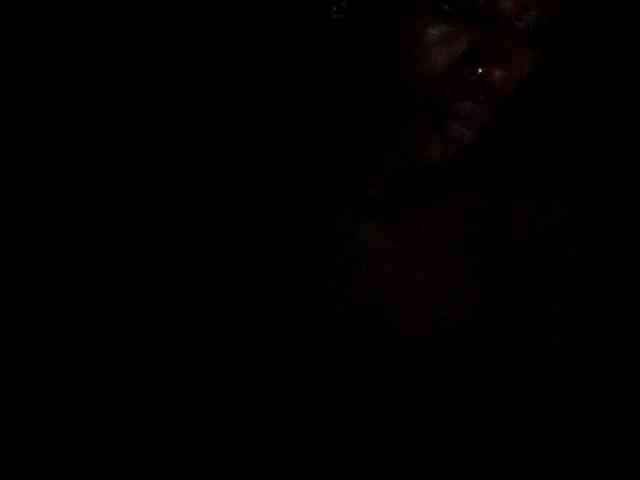 Nastyxclit webcam