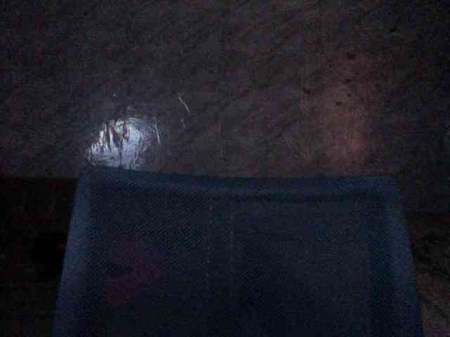 Nastyxclit webcam