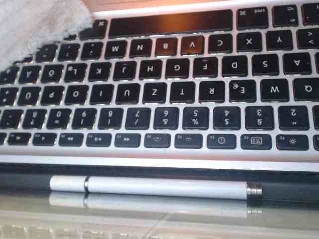Nastyxclit webcam