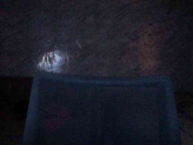 Nastyxclit webcam