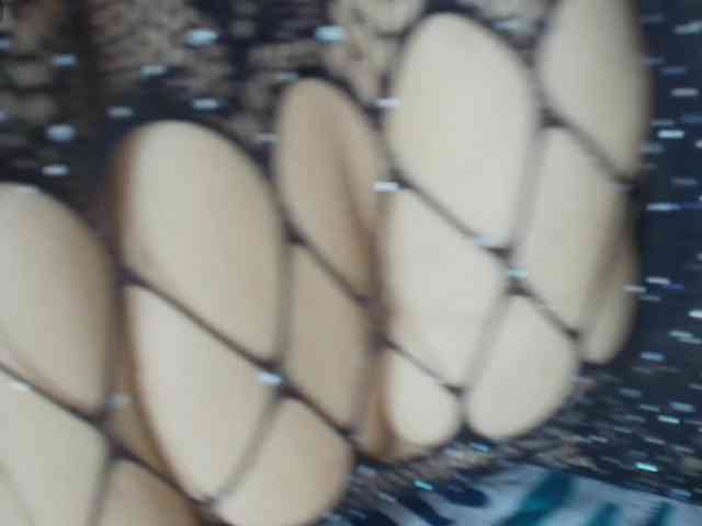 carlaantonelli webcam