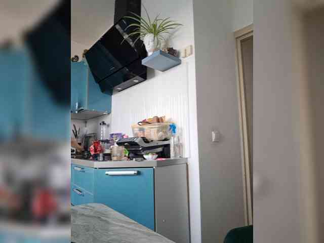 ShiningMILF Sex Cam Show