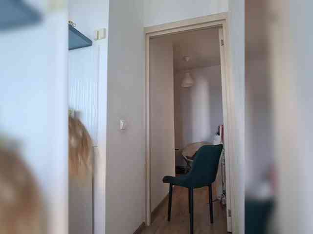 ShiningMILF webcam