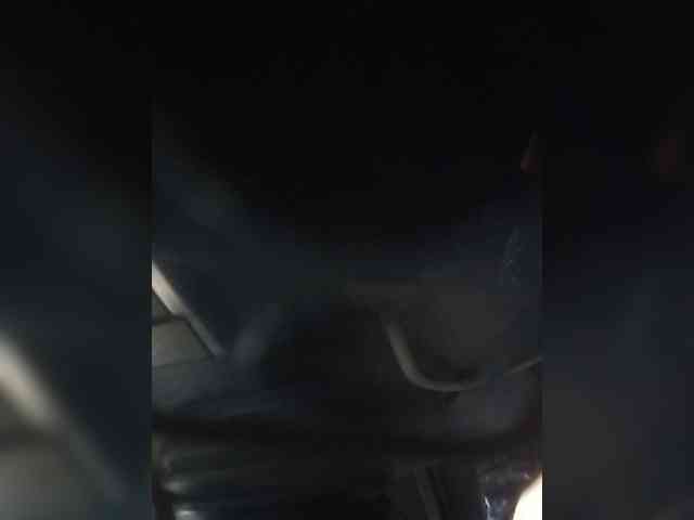 Danel45