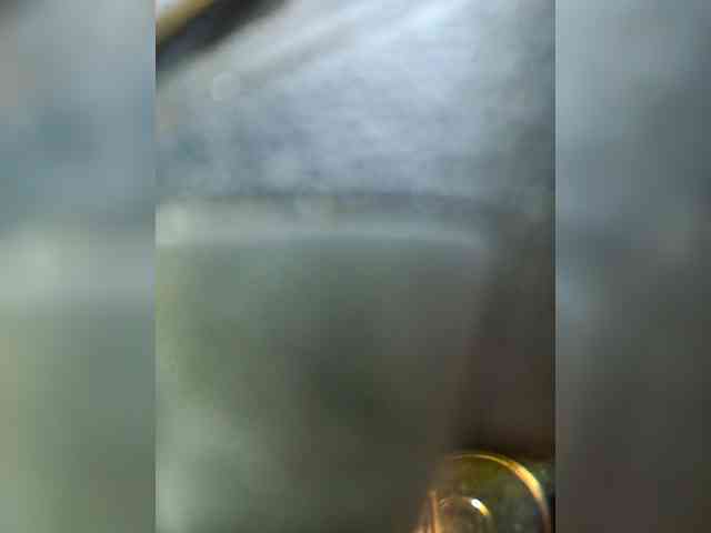 Danel45