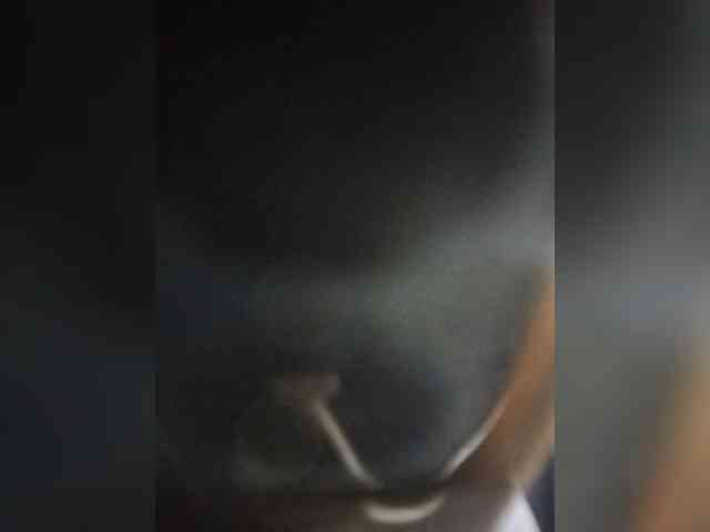 Danel45