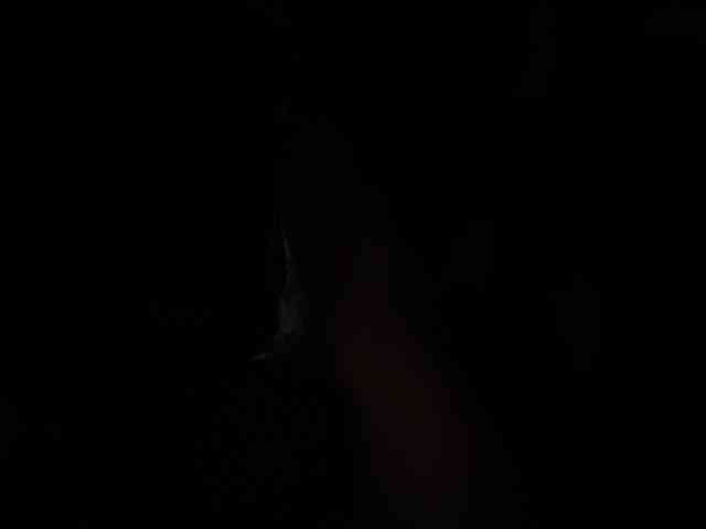 LunaSecret1 webcam