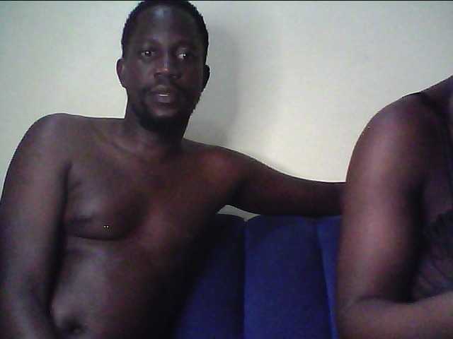Hollykings