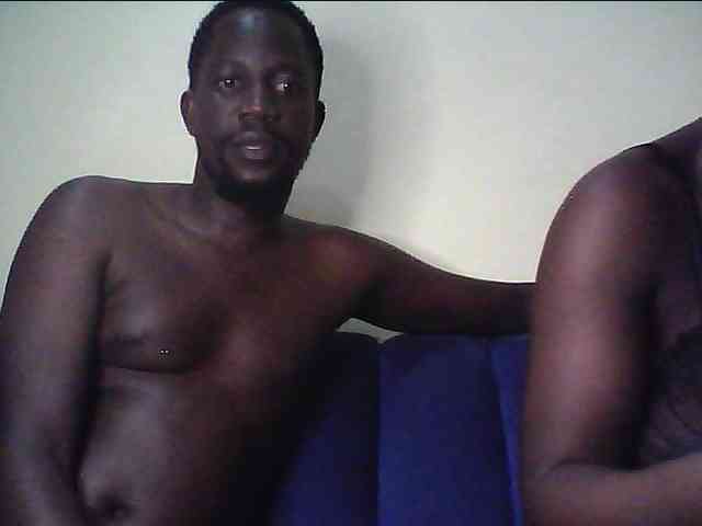 Hollykings