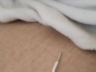 Juanitamami Porn Show