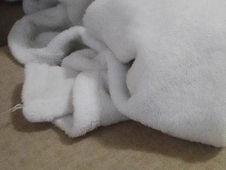 Juanitamami Porn Show
