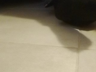 Juanitamami Porn Show