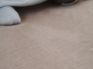 Juanitamami Porn Show