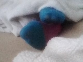 Juanitamami Porn Show