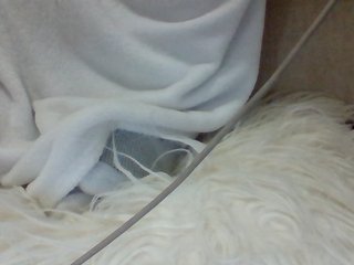 Juanitamami's Live Webcam