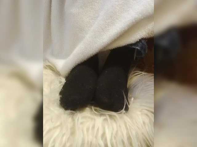 Juanitamami