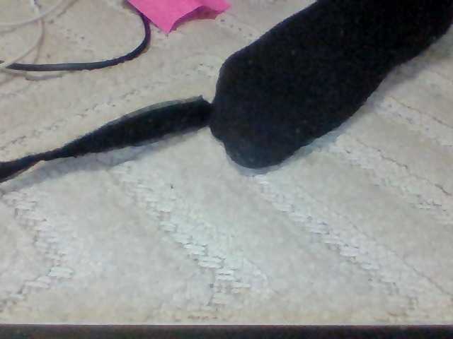 Preview of juanitamami