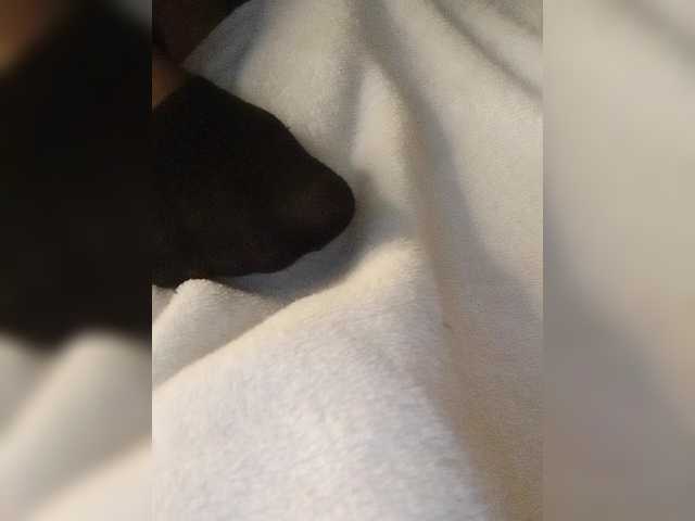 Juanitamami live cam on BongaCams